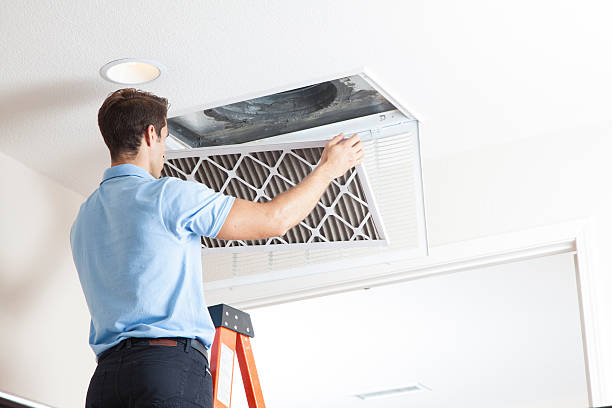 Best HVAC maintenance near me  in Clara City, MN