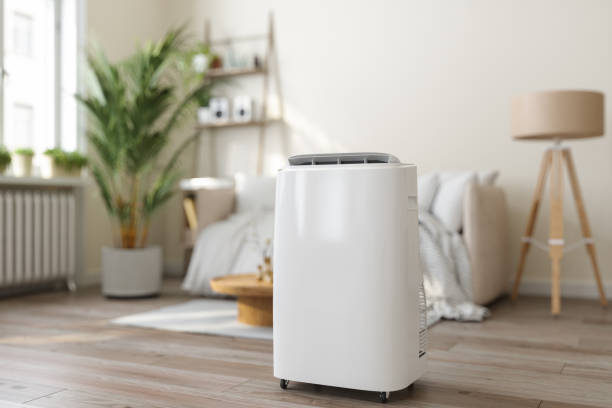 Best Local HVAC companies  in Clara City, MN